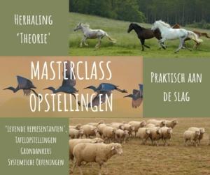 Masterclaas Familieopstellingen