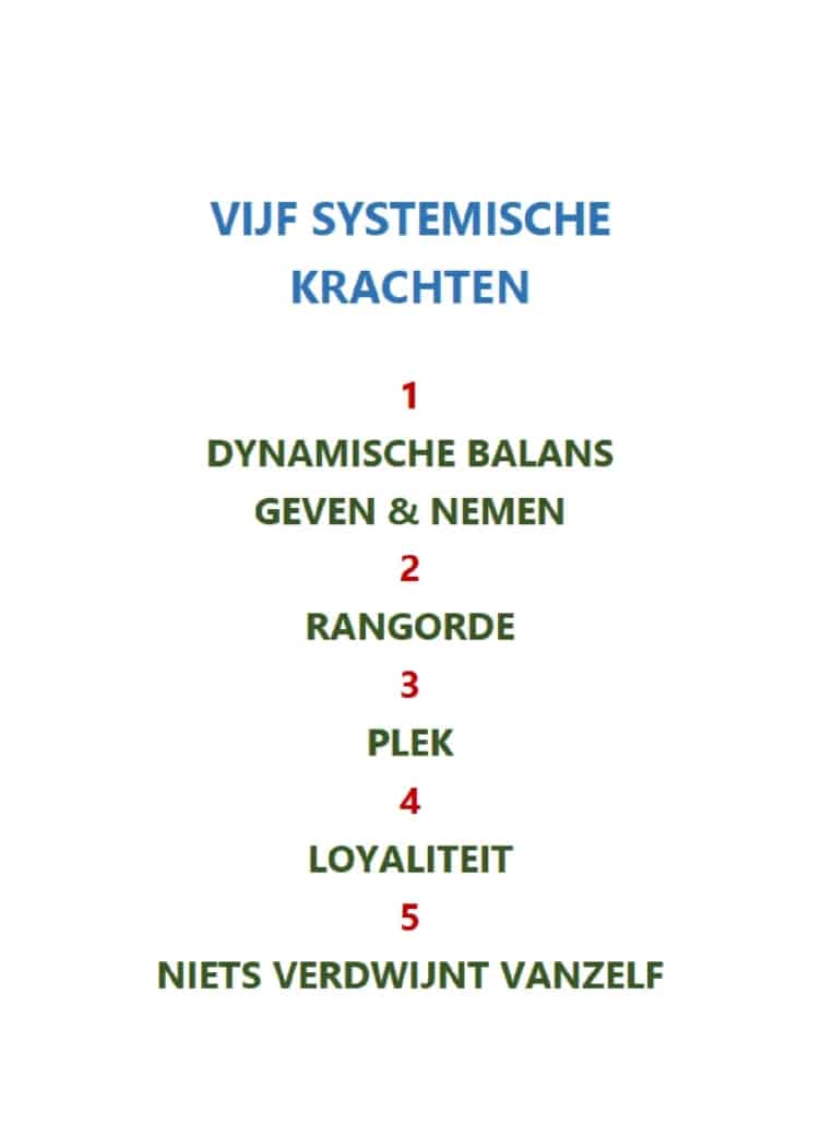 Vijf Systemische Krachten