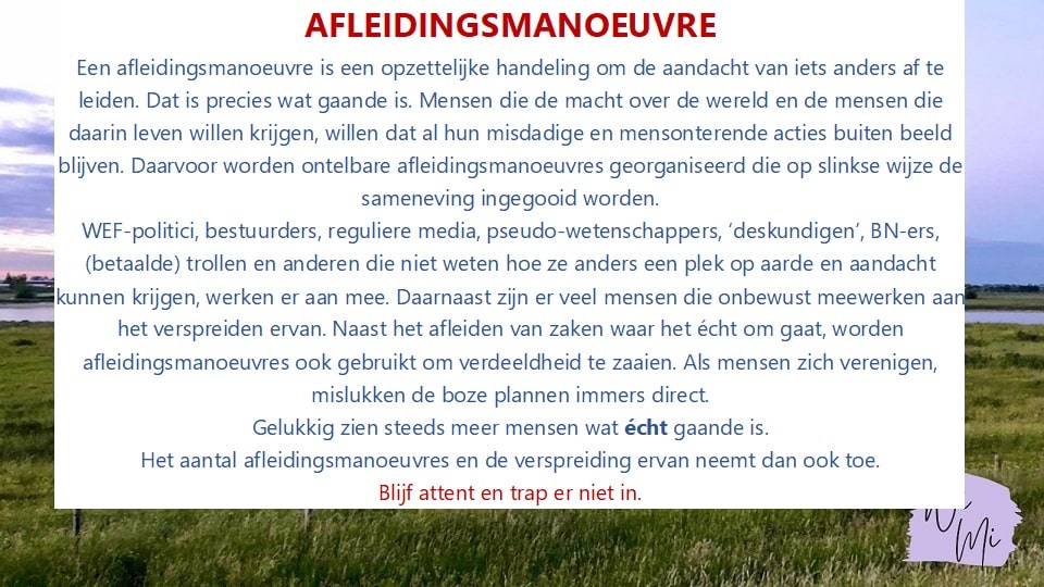 afleidingsmanoeuvre
