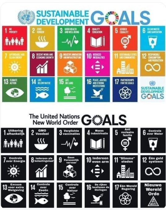 WEF goals